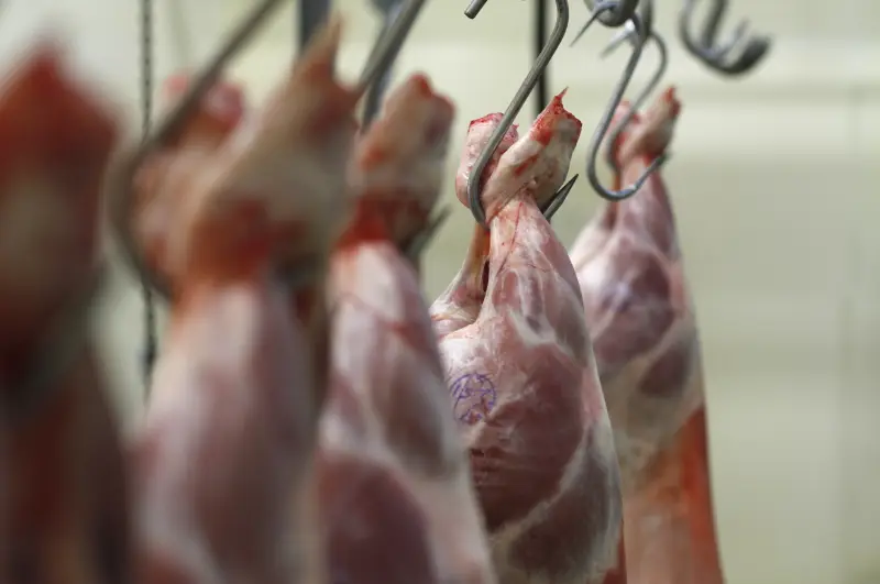 Lammeren aan de vleeshaken in de slagerij
